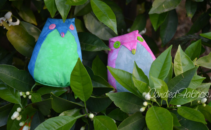 Spring-Greens-Owls-04