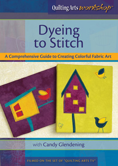 dyeing-to-stitch-dvd-cover-240