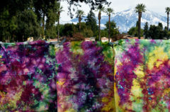 Meetup | December Goals